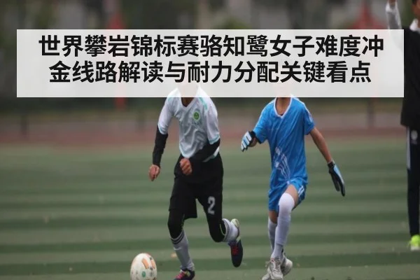 世界攀岩锦标赛骆知鹭女子难度冲金线路解读与耐力分配关键看点